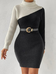 Contrast Turtleneck Sweater Dress - Admiresty