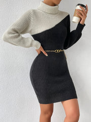 Contrast Turtleneck Sweater Dress - Admiresty