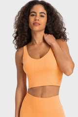 Deep V - Neck Crop Sports Bra - Admiresty