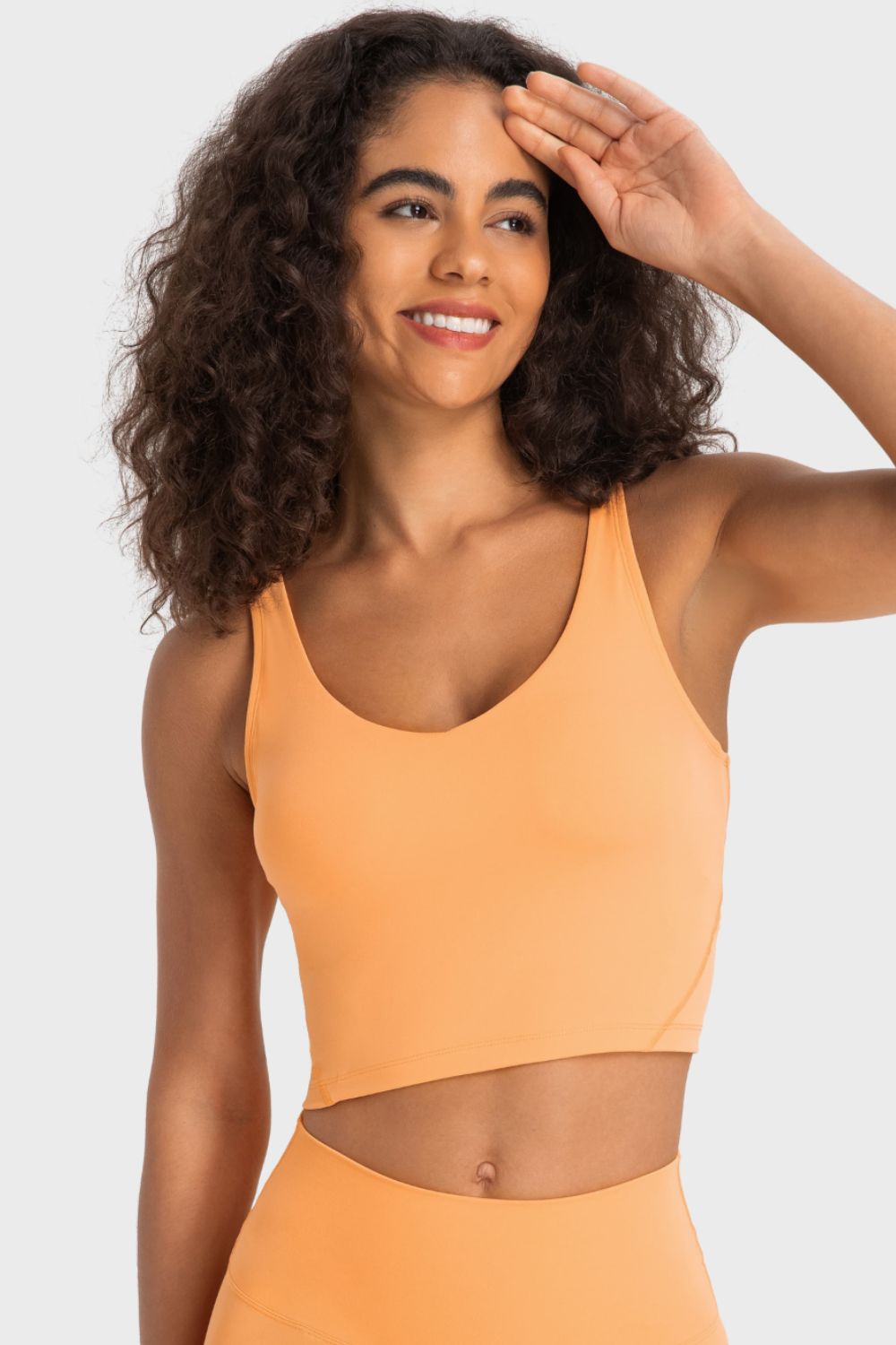 Deep V - Neck Crop Sports Bra - Admiresty