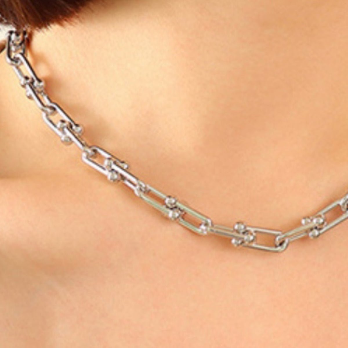 Chunky Chain Titanium Steel Necklace - Admiresty