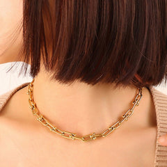 Chunky Chain Titanium Steel Necklace - Admiresty